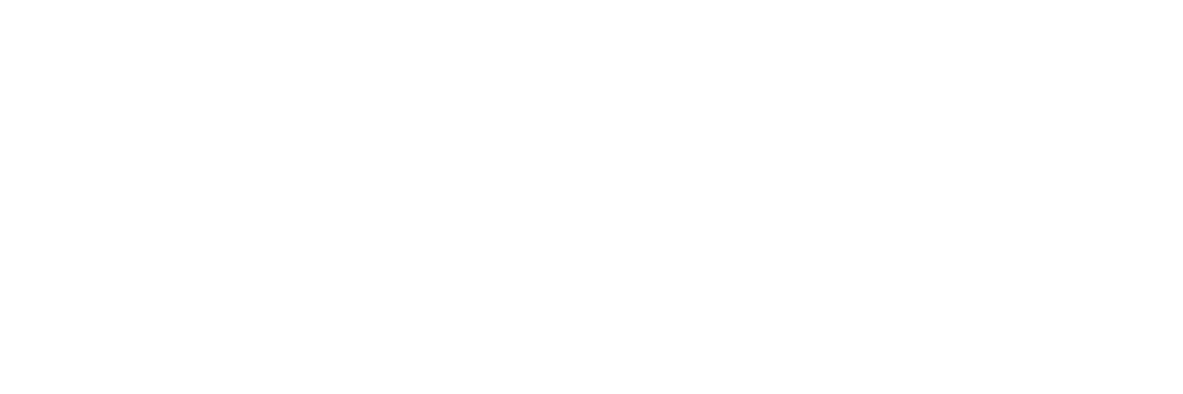 Neolith Press